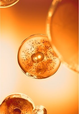 ACTIVOS ANTIGLICACIÓN*